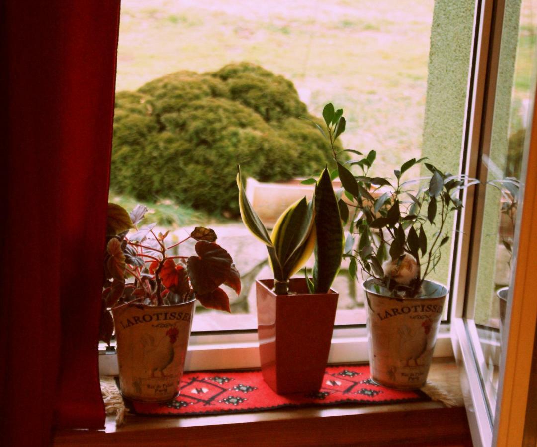 Villa Agro Na Gorce à Barcinek Extérieur photo