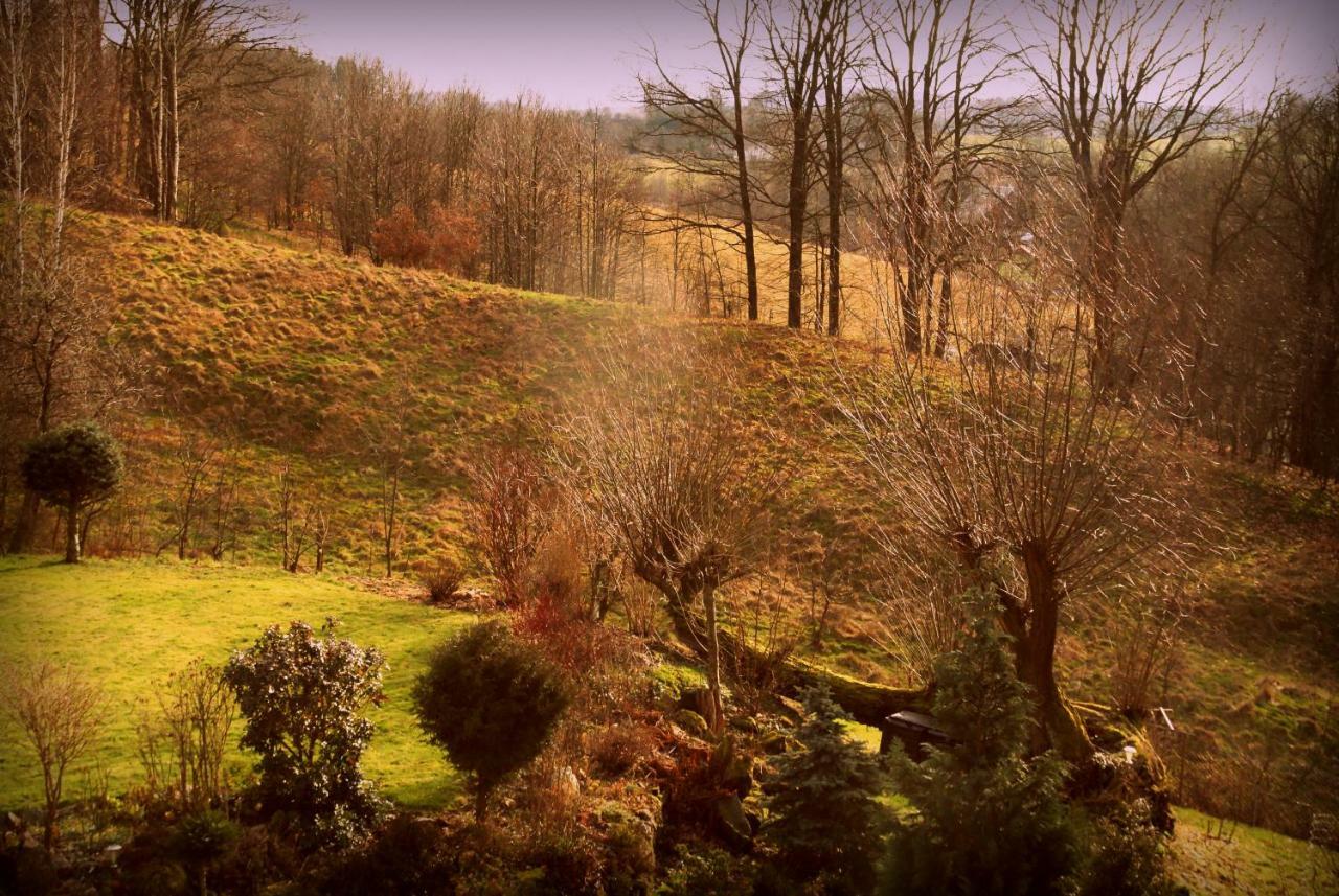 Villa Agro Na Gorce à Barcinek Extérieur photo